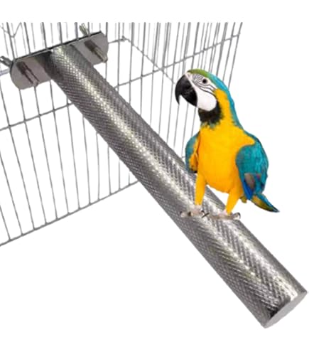 Amazon | ホーエイ 鳥かご 465オウム ホワイト | ホーエイ | 鳥かご